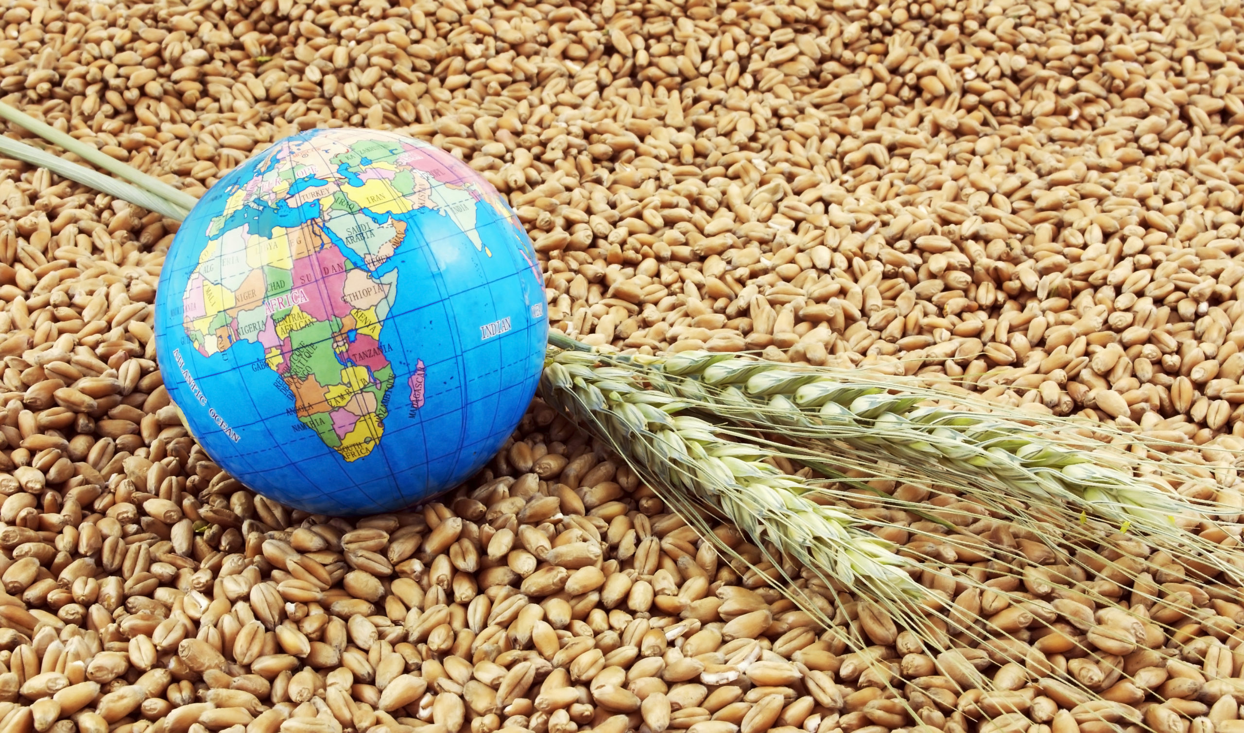 Мировой рынок зерна страны