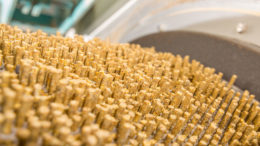 Los resultados muestran que con el uso de una línea de procesamiento de alimentos alternativos la producción de pellets (toneladas/h) y la longevidad de la matriz han aumentado. Foto: Shutterstock