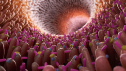 Ilustración tridimensional de las vellosidades y bacterias en el intestino. Foto: Shutterstock