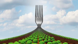 La Estrategia "De la granja al tenedor" del "Trato Verde" tiene como objetivo acelerar la transición hacia un sistema alimentario sostenible. Foto: Canva