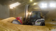 El gobierno ruso ha emitido una previsión bastante optimista para la próxima cosecha de cereales. Foto: Koos Groenewold