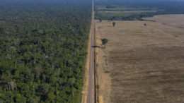 Una carretera en Brasil que discurre entre la Selva Nacional de Tapajos a la izquierda y un campo de soja a la derecha. Foto: ANP