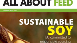 All About Feed analiza la nueva ley europea que se está elaborando y que debería poner fin a la deforestación.
