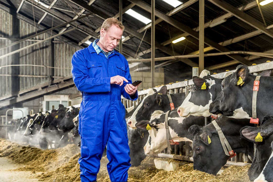 Los agricultores utilizan cada vez más las herramientas digitales para acceder a los datos y a la información de las explotaciones. Foto: Trouw Nutrition