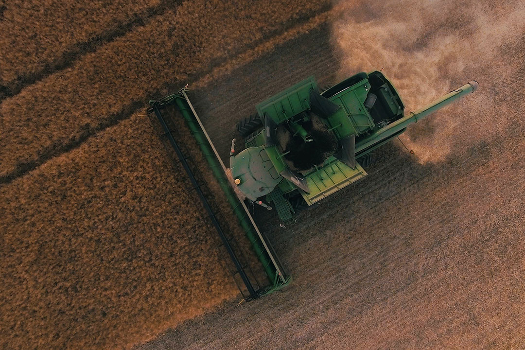 El riesgo de sequía en el rendimiento del trigo, por ejemplo, muestra una fuerte mejora desde 2007/08, ya que los cambios tecnológicos y de prácticas de gestión han ayudado a los agricultores a mejorar el rendimiento de los cultivos en condiciones de sequía. Foto: Scott Goodwill