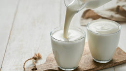 El kéfir, un producto lácteo fermentado, se vierte en un vaso para el consumo humano. También puede ser un aditivo útil para las dietas de los lechones destetados. Foto: Shutterstock