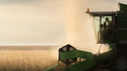 Desde el año 2000, la superficie de soja cosechada en Brasil ha aumentado un 160%.