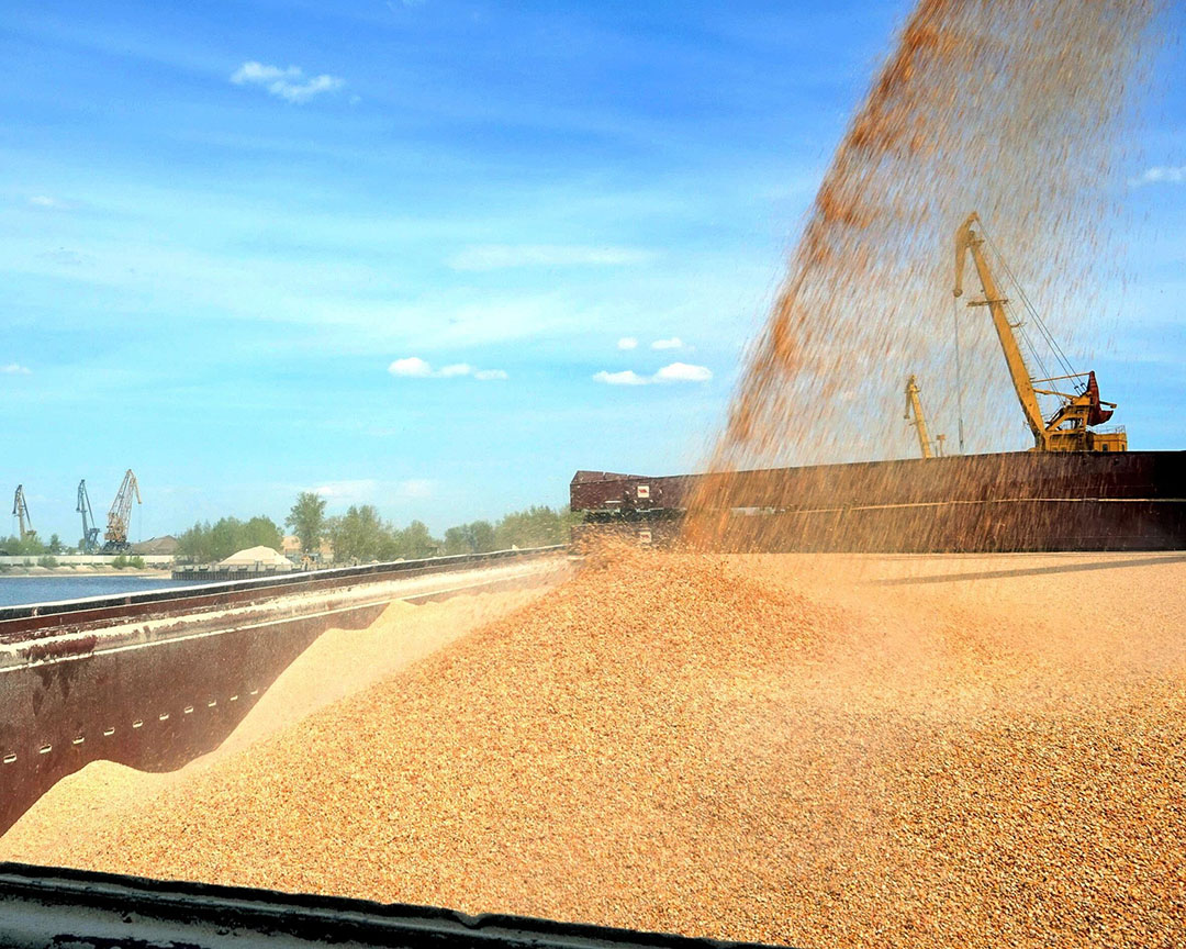 Se espera que el desarrollo de las exportaciones de Rusia esté impulsado principalmente por el aumento de la producción de cereales. Foto: Misset