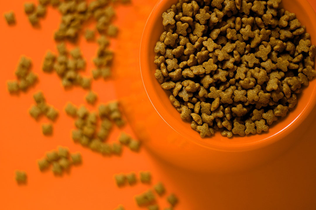 La harina de ave se utiliza cada vez más en el sector de los alimentos para mascotas. Foto; Pixabay