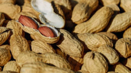 Los cacahuetes, al igual que la soja, son legumbres y semillas oleaginosas ricas en proteínas, al tiempo que aportan lípidos dietéticos como energía. Foto: Couleur