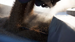 Un posible ataque de los rusos crea incertidumbre sobre las entregas de grano del granero de Europa. Foto: Canva