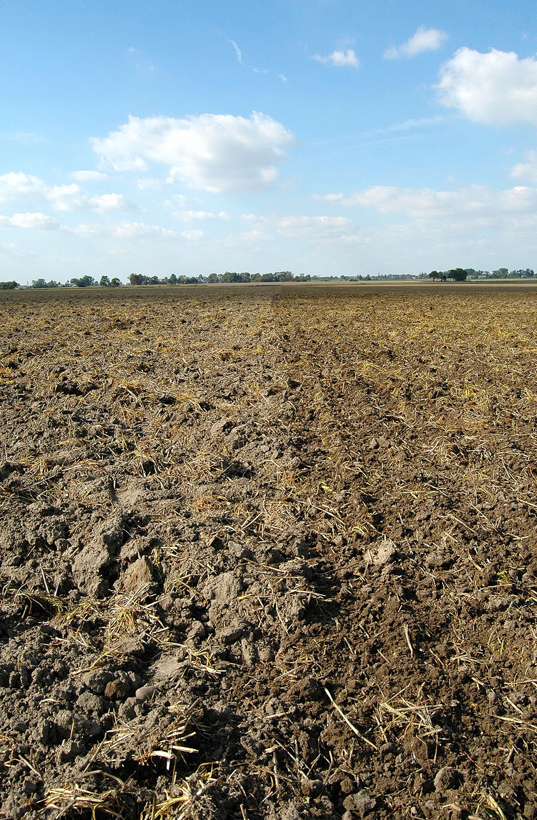 El suelo de Ucrania es ideal para el cultivo de cereales. Foto: Chris McCullough