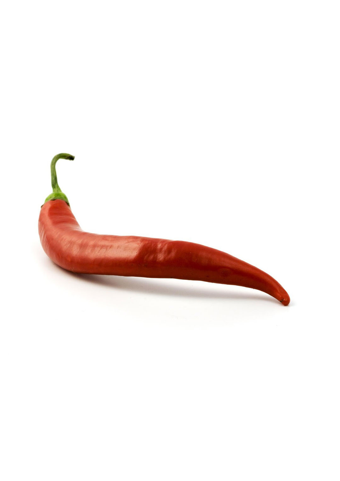 La capsaicina, fuente del sabor picante del chile, ha demostrado ser beneficiosa para la salud de los animales. Foto: Canva