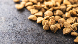 Alimento seco para mascotas en forma de croqueta. Comida seca para animales en forma de corazón en una mesa antigua. Foto: Shutterstock