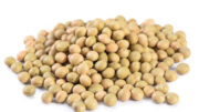 El nuevo producto de ITPSA ayuda a degradar los factores antinutricionales de la soja y otras leguminosas.
