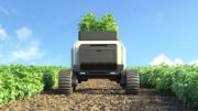Los robots agrícolas de empresas como Aigen y EcoRobotix se encargan de diversas tareas, como plantar, desherbar, aspirar insectos, cosechar y envasar. Foto: Canva