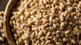 Los niveles más altos de OTA entre los cereales se registraron en la cebada. Foto: Canva