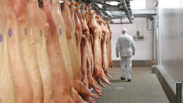 Está previsto que en 2024 se realicen los primeros envíos de carne de cerdo a China. Esto debería allanar el camino para que Rusia se convierta en uno de los cinco mayores exportadores de carne de cerdo del mundo. Foto: Shutterstock